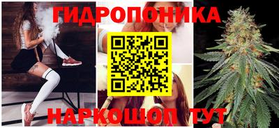 гидропоника Гагарин