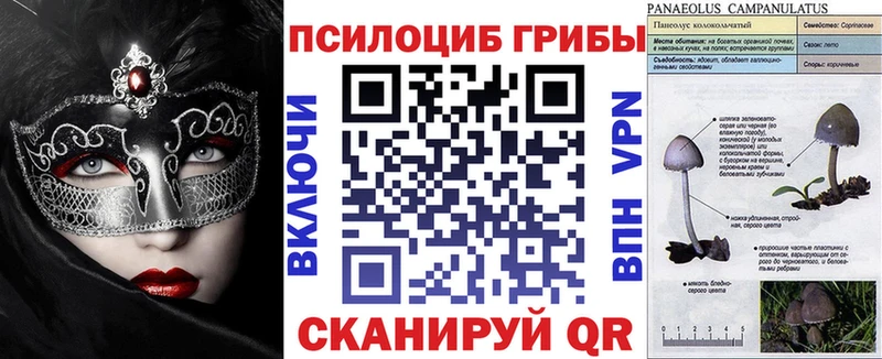 как найти закладки  Корсаков  Псилоцибиновые грибы Cubensis 