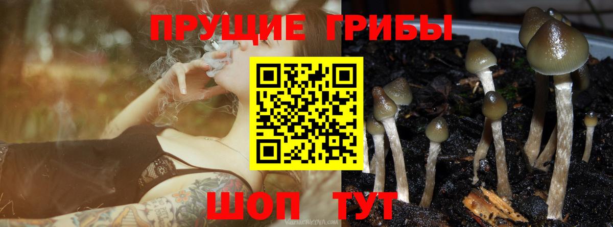 Корсаков  Псилоцибиновые грибы мухоморы  Вход с VPN 